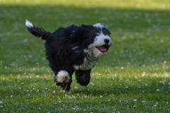 1234341_10151570366976734_1777577237_n