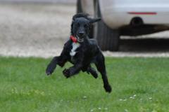 1235169_10151570400296734_1557691419_n